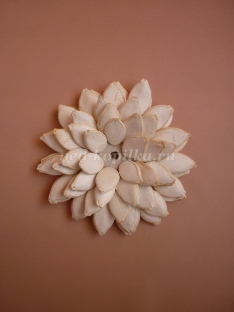 Цветы из тыквенных семечек детскими руками: мастер-класс Цветы из тыквенных семечек детскими руками: мастер-класс