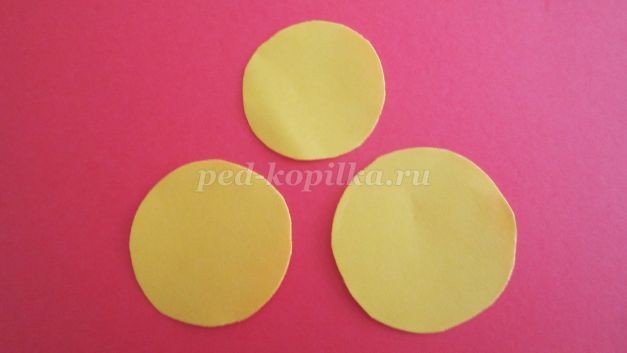 Цыпленок вылупляется из яичка: часть 1