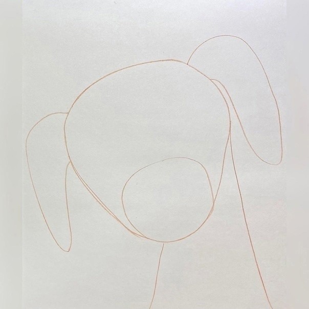 Рисуем пёсика с висящими ушками Рисуем пёсика с висящими ушками