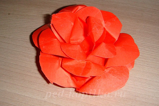 Роза из бумаги: мастер-класс