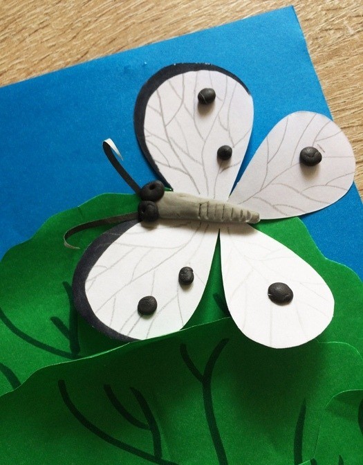 Бабочка и гусеница Бабочка и гусеница