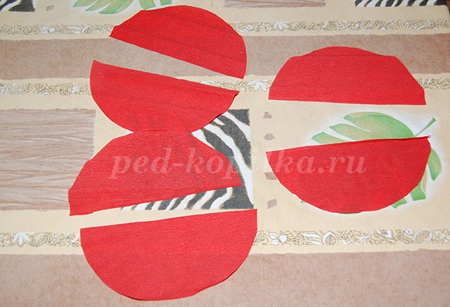 ​Цветы из крепированной бумаги: часть 1