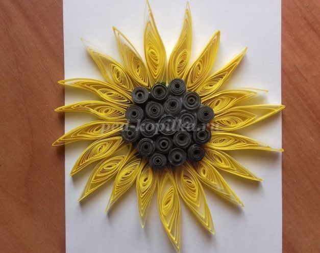 Аппликация "Подсолнух" в технике квиллинга: мастер-класс, часть 1