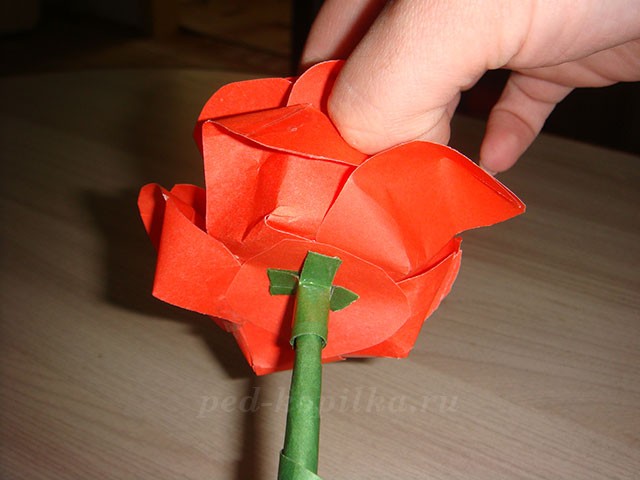Роза из бумаги: мастер-класс