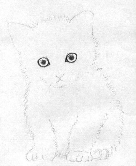 ​Учимся рисовать милого котенка