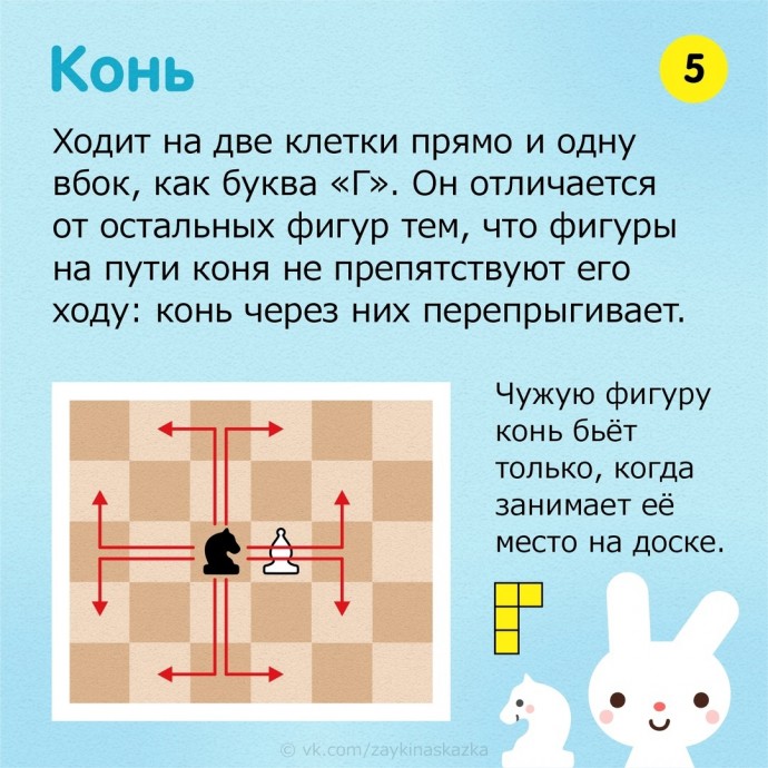 Правила игры в шахматы для детей за 10 минут