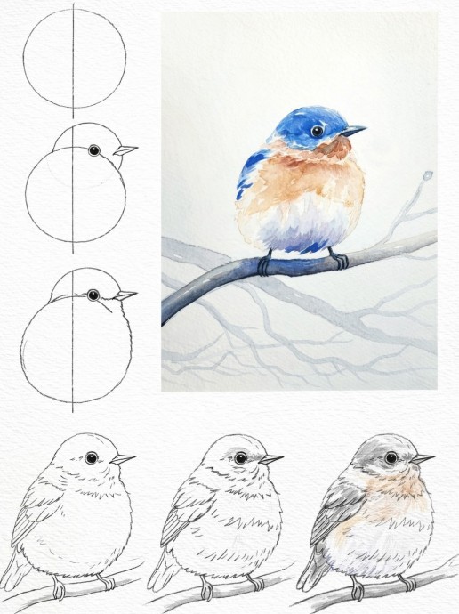 Рисуем разных птичек