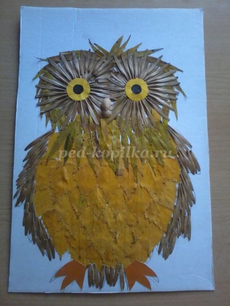 Совушка-сова из крылатки клёна: часть 3 Совушка-сова из крылатки клёна: часть 3