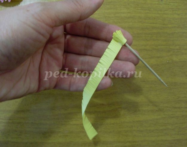 Маргаритки: часть 1