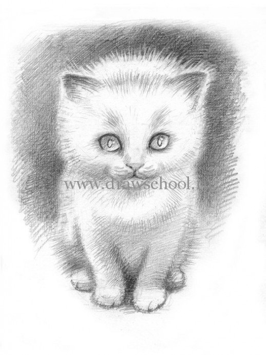 Рисуем простым карандашом милого котёнка