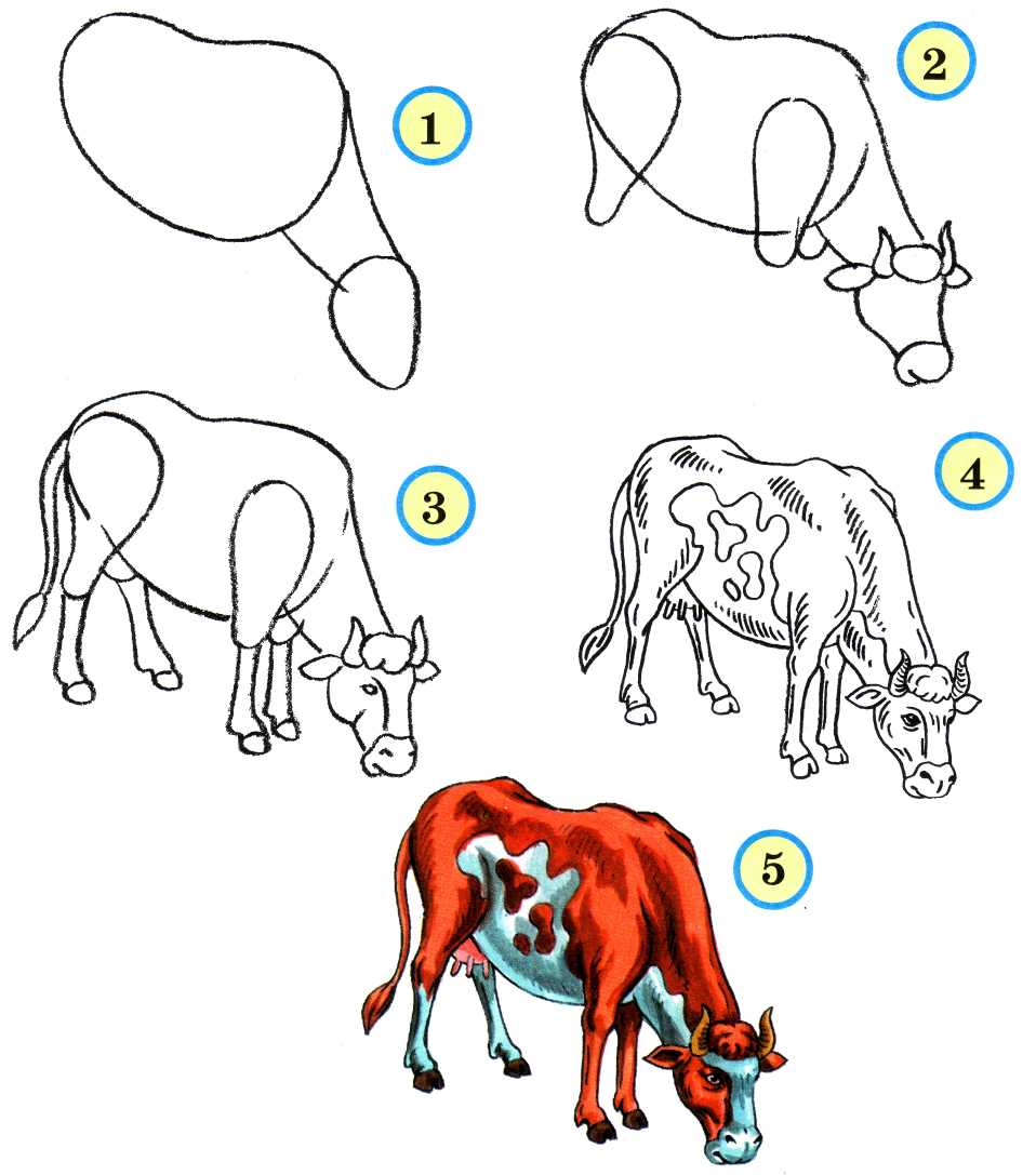 Уроки рисования для начинающих поэтапно. Рисование животных. Рисунки животных. Рисование животных пошагово. Уроки рисования животных для детей.