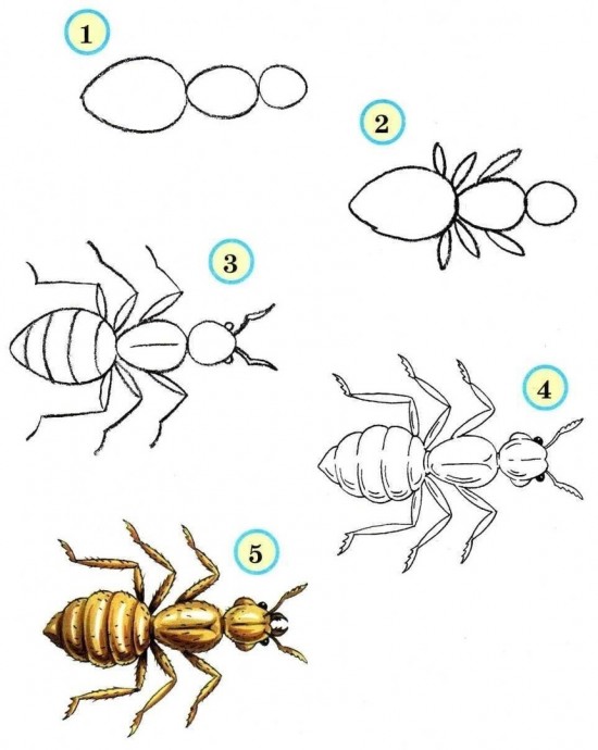 Рисуем насекомых