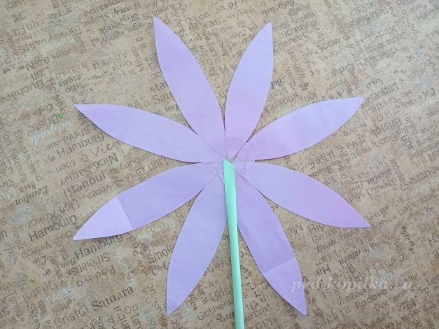 Цветок космеи: часть 2 Цветок космеи: часть 2