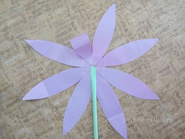 Цветок космеи: часть 2 Цветок космеи: часть 2