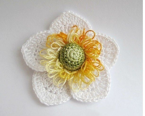 Красивый и нежный цветок