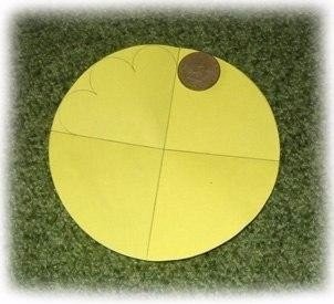 ​Огромные цветочки