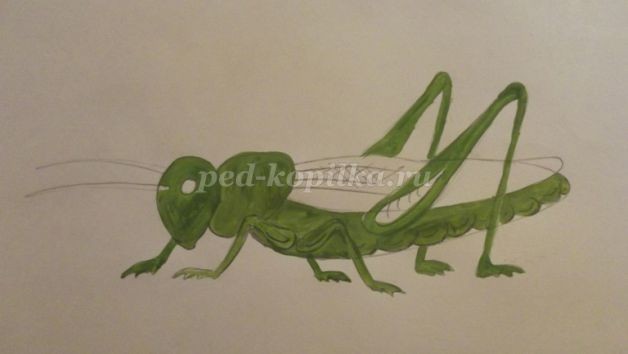Рисуем кузнечика: часть 2 Рисуем кузнечика: часть 2
