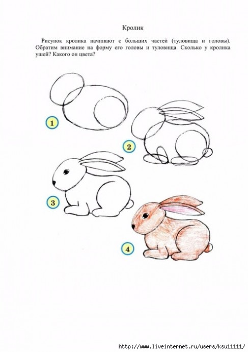 Уроки рисования: белки, ежики, слоники и зайчишки Уроки рисования: белки, ежики, слоники и зайчишки