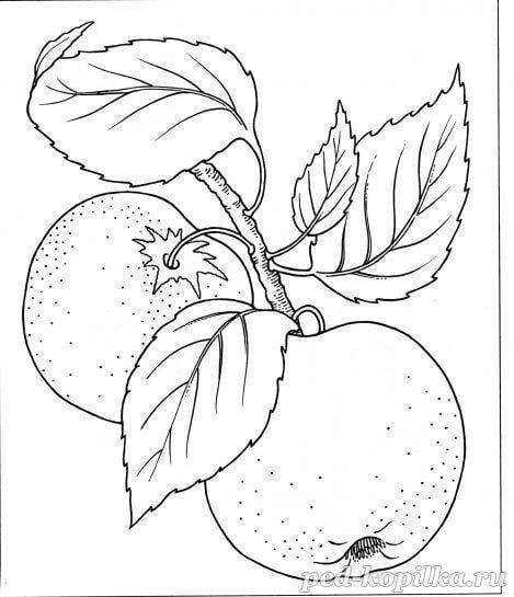 Ветка с яблоками, которая нарисована ватными палочками