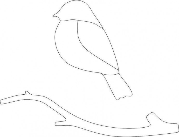 Аппликация из пластилина: снегирь Аппликация из пластилина: снегирь