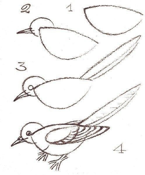 ​Рисуем перелетных птичек