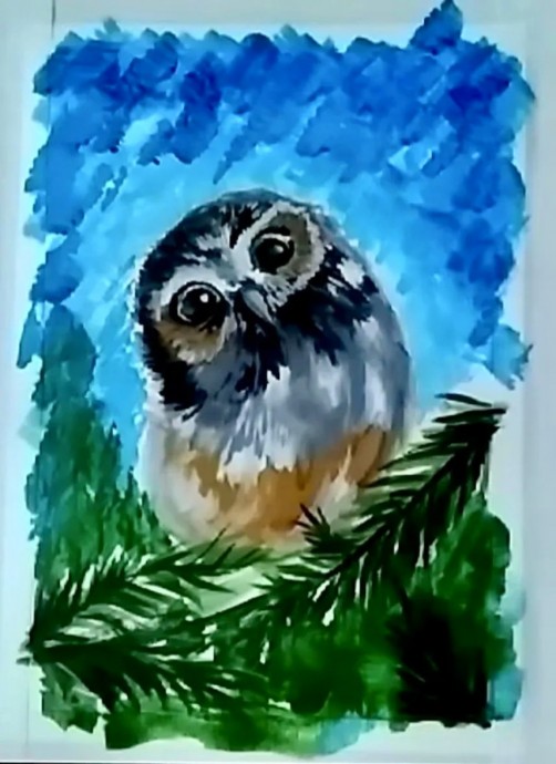 Сова на ели Сова на ели