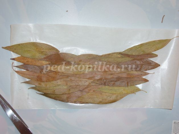 Натюрморт из листьев Натюрморт из листьев