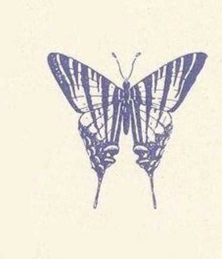 Рисуем бабочку Рисуем бабочку