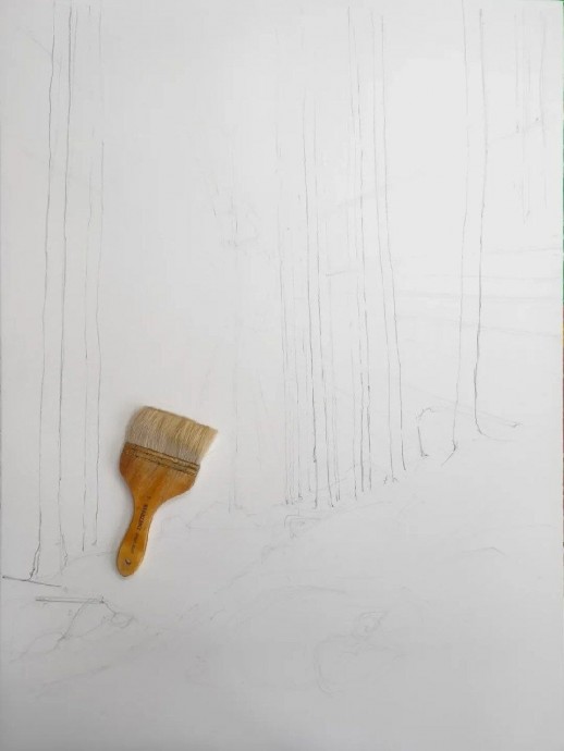 Рассвет в лесу Рассвет в лесу