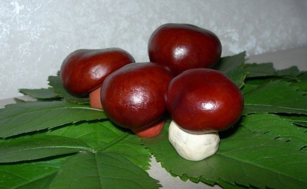 Идеи поделок с детьми из каштанов Идеи поделок с детьми из каштанов