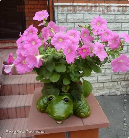 Кашпо "Черепашка" из солёного теста Кашпо "Черепашка" из солёного теста