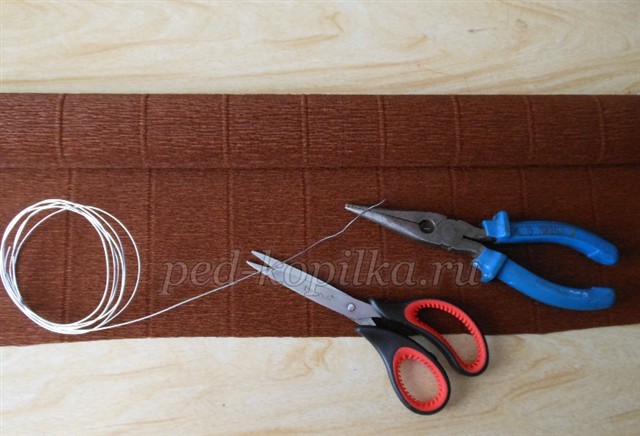 Лесные дары природы: мастер класс, часть 1 Лесные дары природы: мастер класс, часть 1