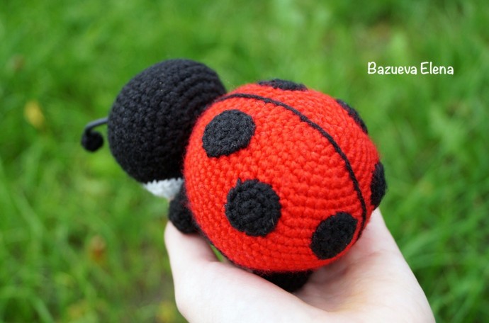 ​Божья коровка