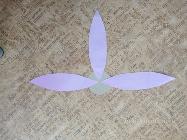 Цветок космеи: часть 1 Цветок космеи: часть 1