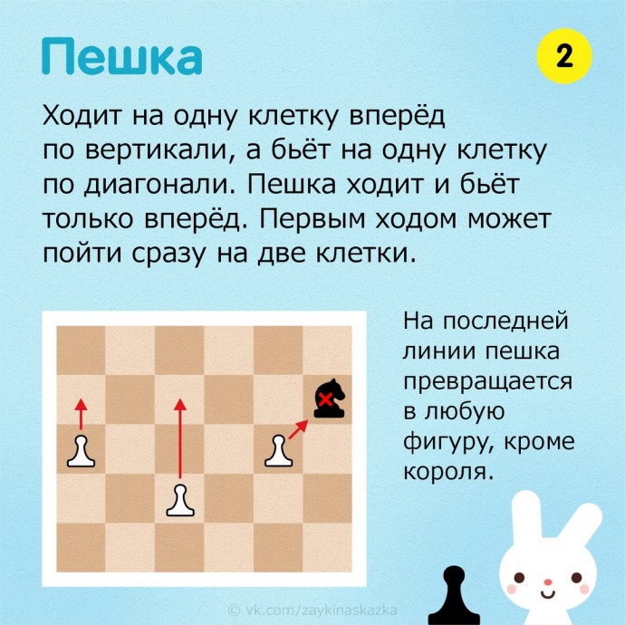 Правила игры в шахматы для детей за 15 минут