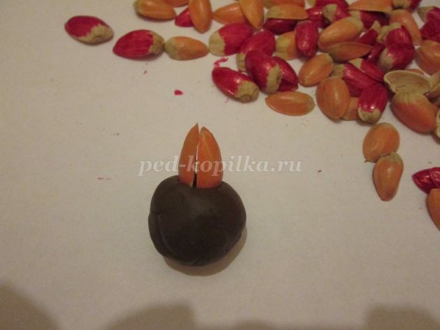 Топиарий из природного материала для детского сада: часть 1