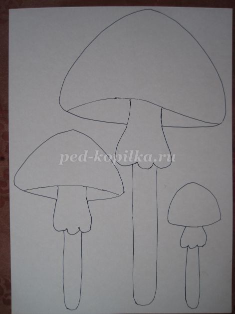 Семья мухоморов: часть 1