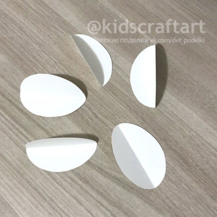 Ромашка с белыми лепестками и жёлтой серединкой