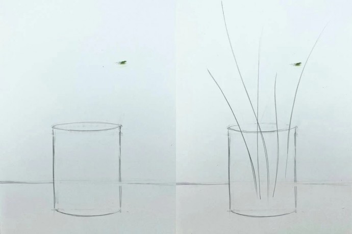 Верба в стакане