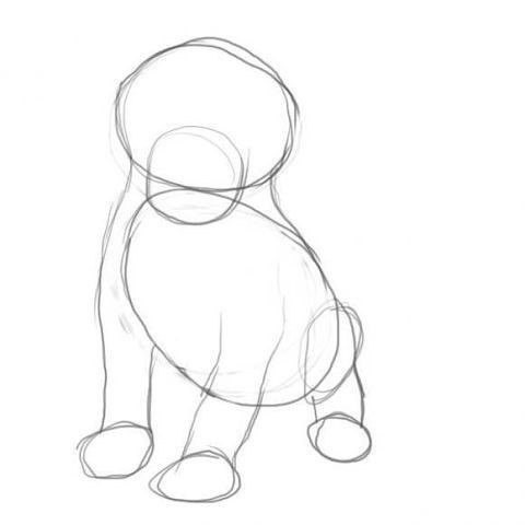 Рисуем щенка Рисуем щенка