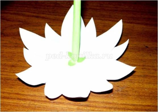 Цветы из бумаги: мастер-класс