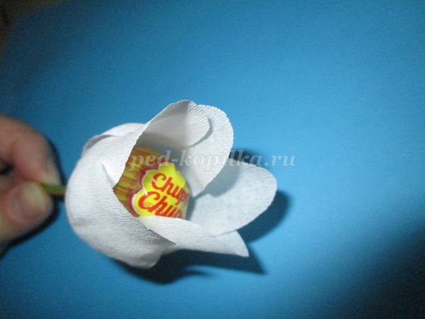 Букет из конфет чупа чупс: мастер-класс, часть 1 Букет из конфет чупа чупс: мастер-класс, часть 1