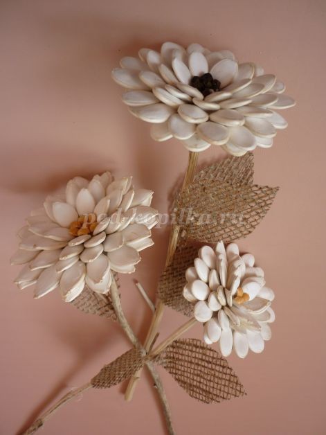 Цветы из тыквенных семечек детскими руками: мастер-класс Цветы из тыквенных семечек детскими руками: мастер-класс