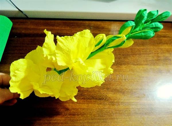Гладиолусы из гофрированной бумаги: мастер-класс, часть 3 Гладиолусы из гофрированной бумаги: мастер-класс, часть 3