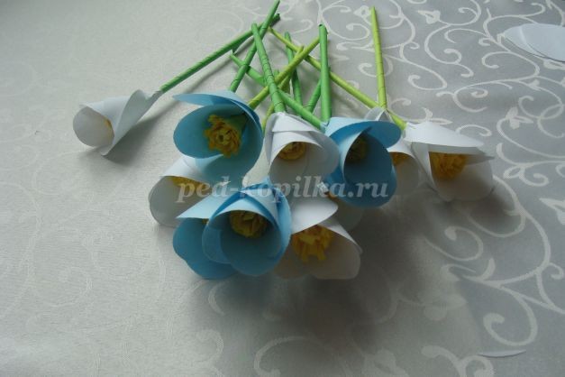 Подснежники из бумаги Подснежники из бумаги