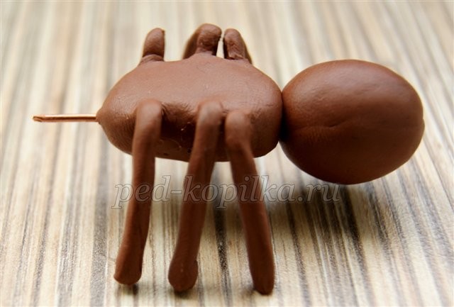 Поделки из пластилина: муравьи Поделки из пластилина: муравьи