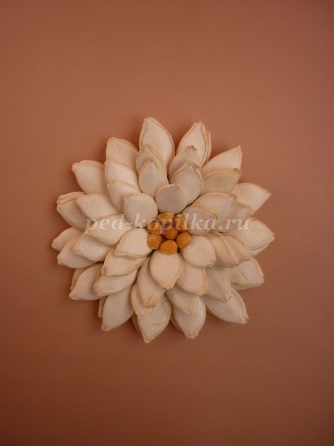 Цветы из тыквенных семечек детскими руками: мастер-класс Цветы из тыквенных семечек детскими руками: мастер-класс