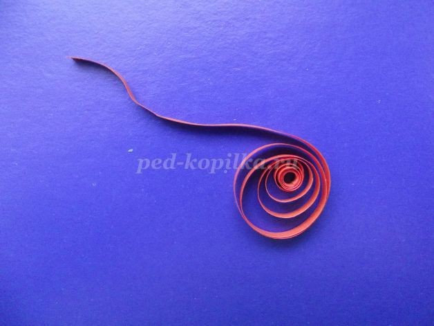 Открытка в технике квиллинг: мастер-класс, часть 2 Открытка в технике квиллинг: мастер-класс, часть 2