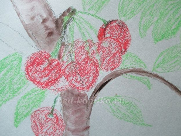 Ветка вишни: часть 1