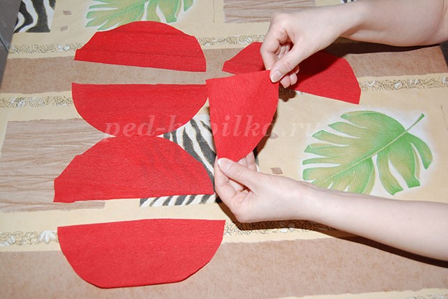 ​Цветы из крепированной бумаги: часть 1